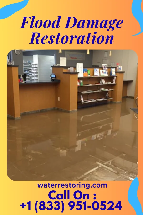Flood Damage Restoration in Riverdale, IA
